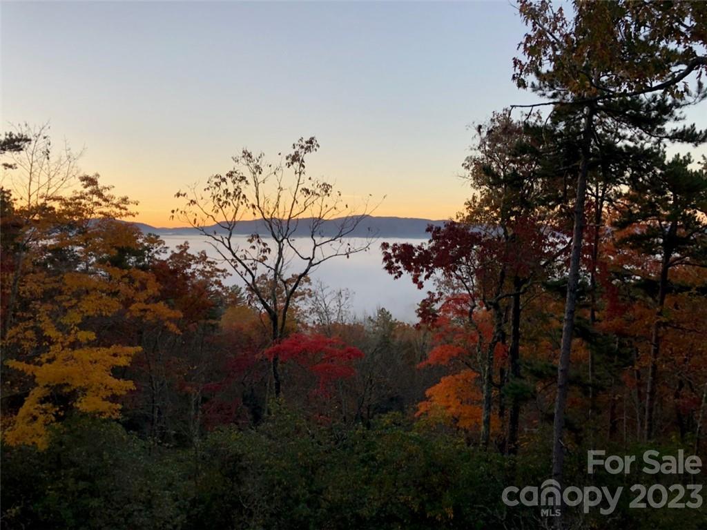 Lot M6 Pine Mountain Trail Brevard NC 28712