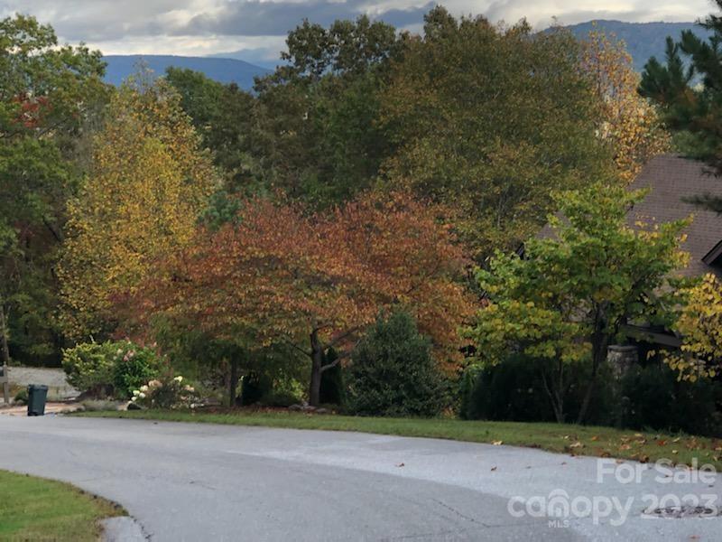 Lot M6 Pine Mountain Trail Brevard NC 28712