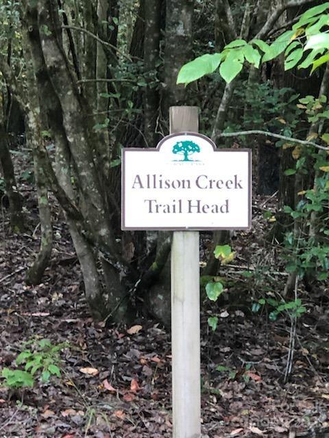 Lot M6 Pine Mountain Trail Brevard NC 28712