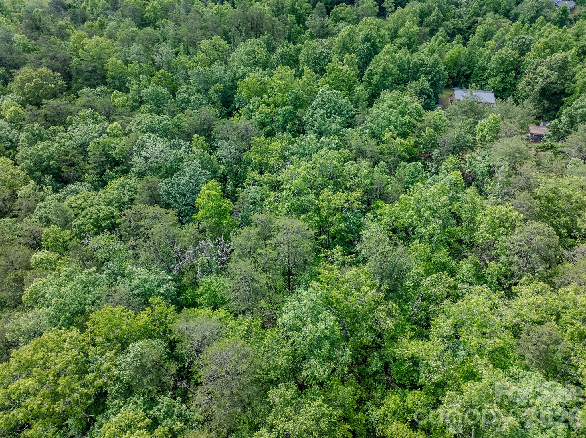 1226 Bethlehem Road Old Fort NC 28762