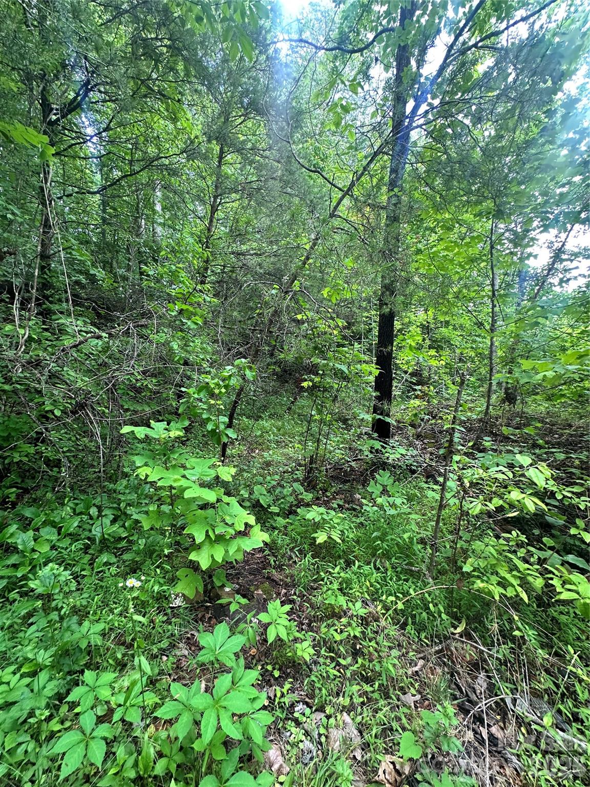 1226 Bethlehem Road Old Fort NC 28762