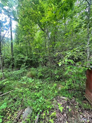 1226 Bethlehem Road Old Fort NC 28762
