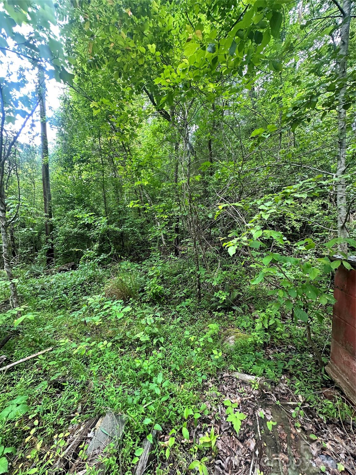 1226 Bethlehem Road Old Fort NC 28762