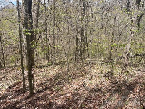000 El Miner Drive Mars Hill NC 28754
