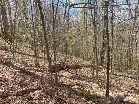 000 El Miner Drive Mars Hill NC 28754
