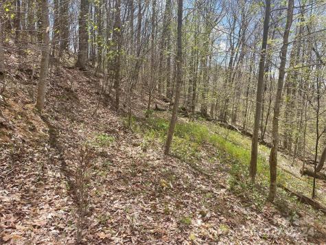 000 El Miner Drive Mars Hill NC 28754