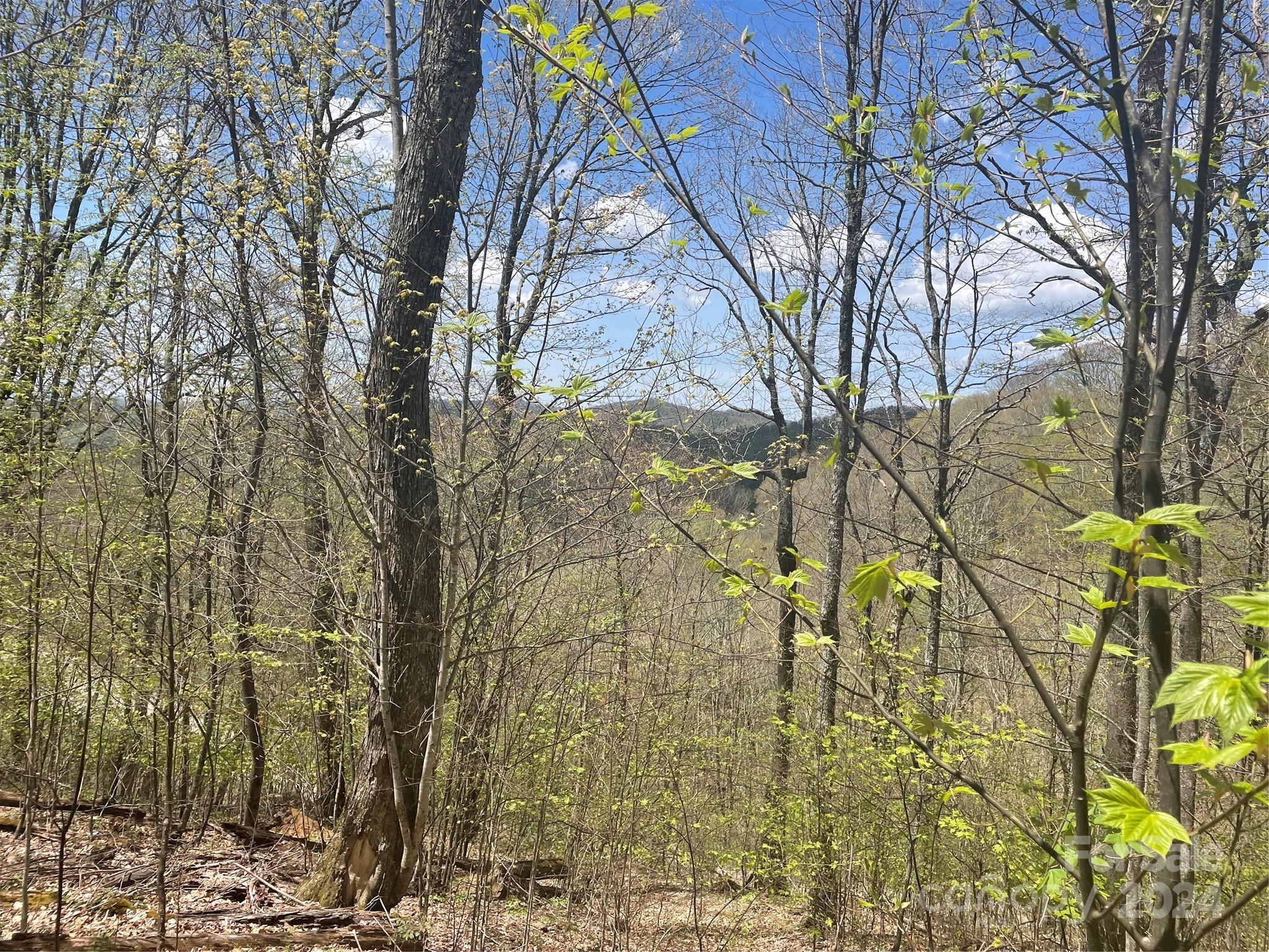 000 El Miner Drive Mars Hill NC 28754