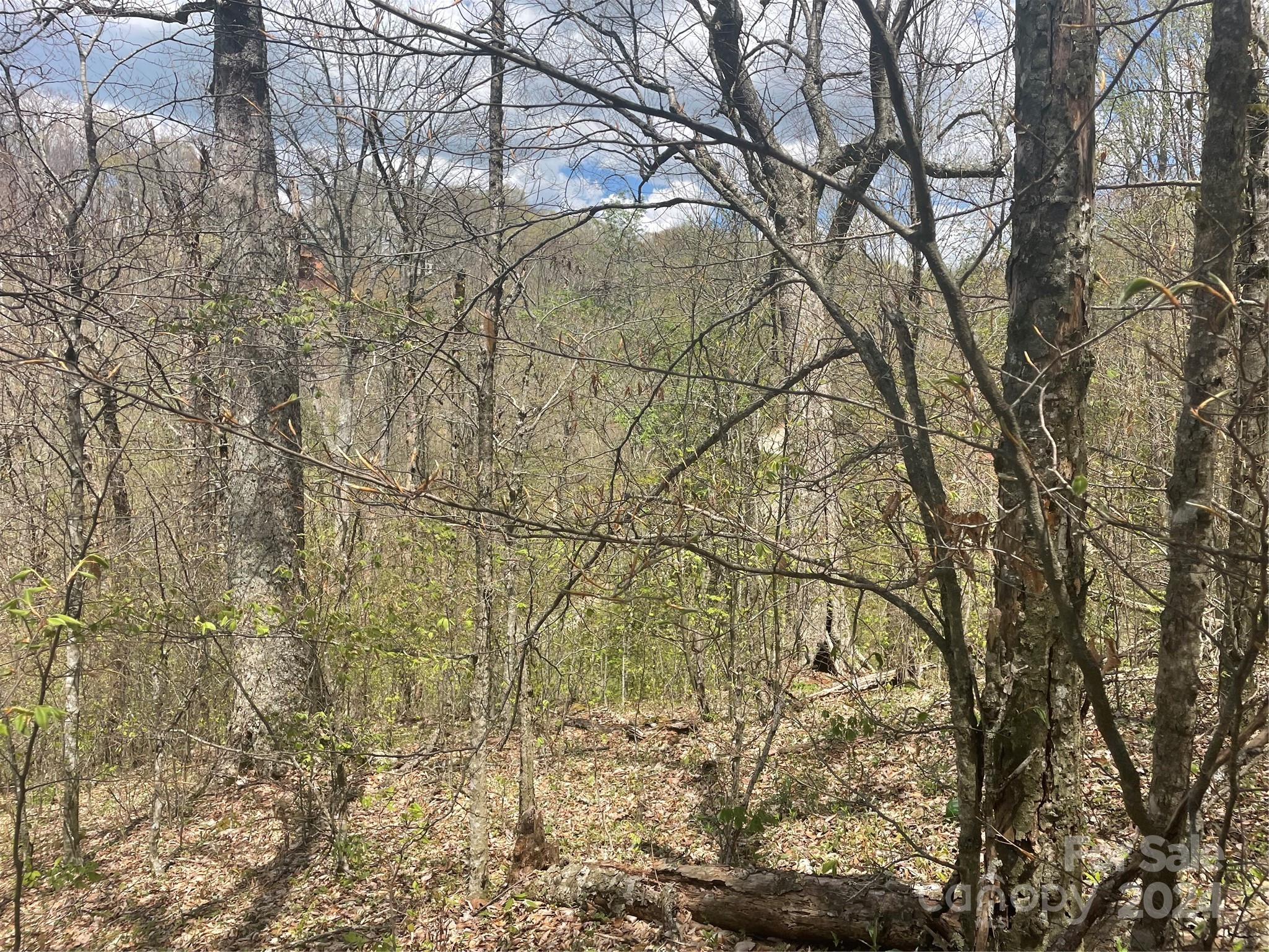 000 El Miner Drive Mars Hill NC 28754