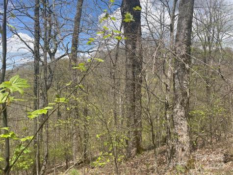 000 El Miner Drive Mars Hill NC 28754