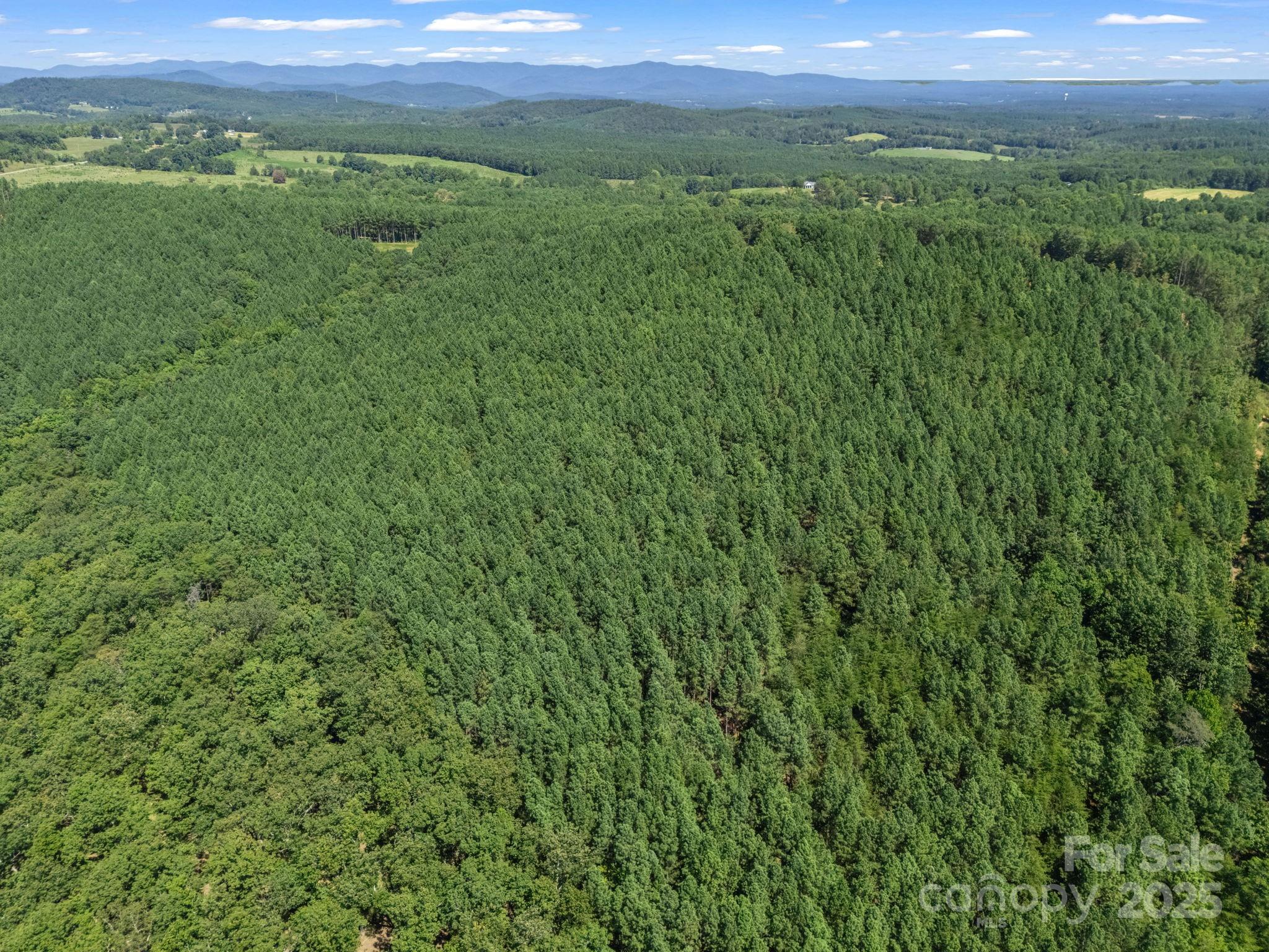 0 Moore Mountain Lane Ellenboro NC 28040
