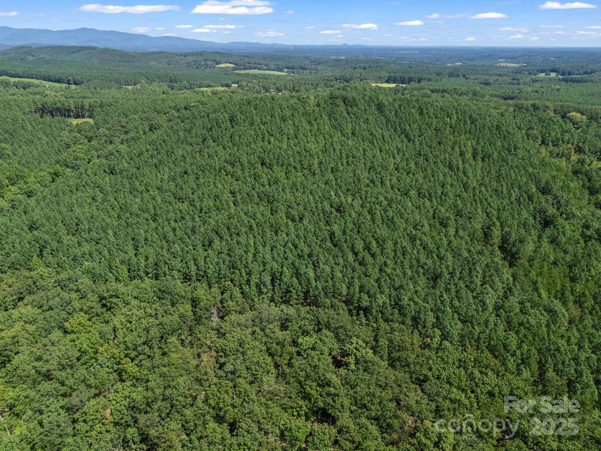 0 Moore Mountain Lane Ellenboro NC 28040