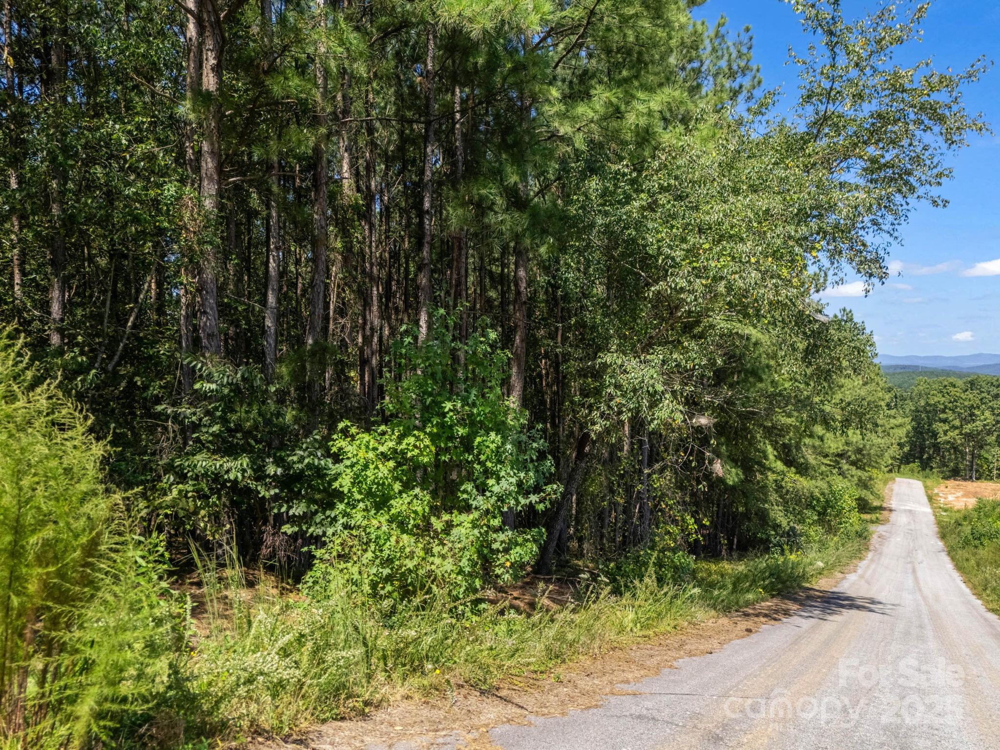 0 Moore Mountain Lane Ellenboro NC 28040