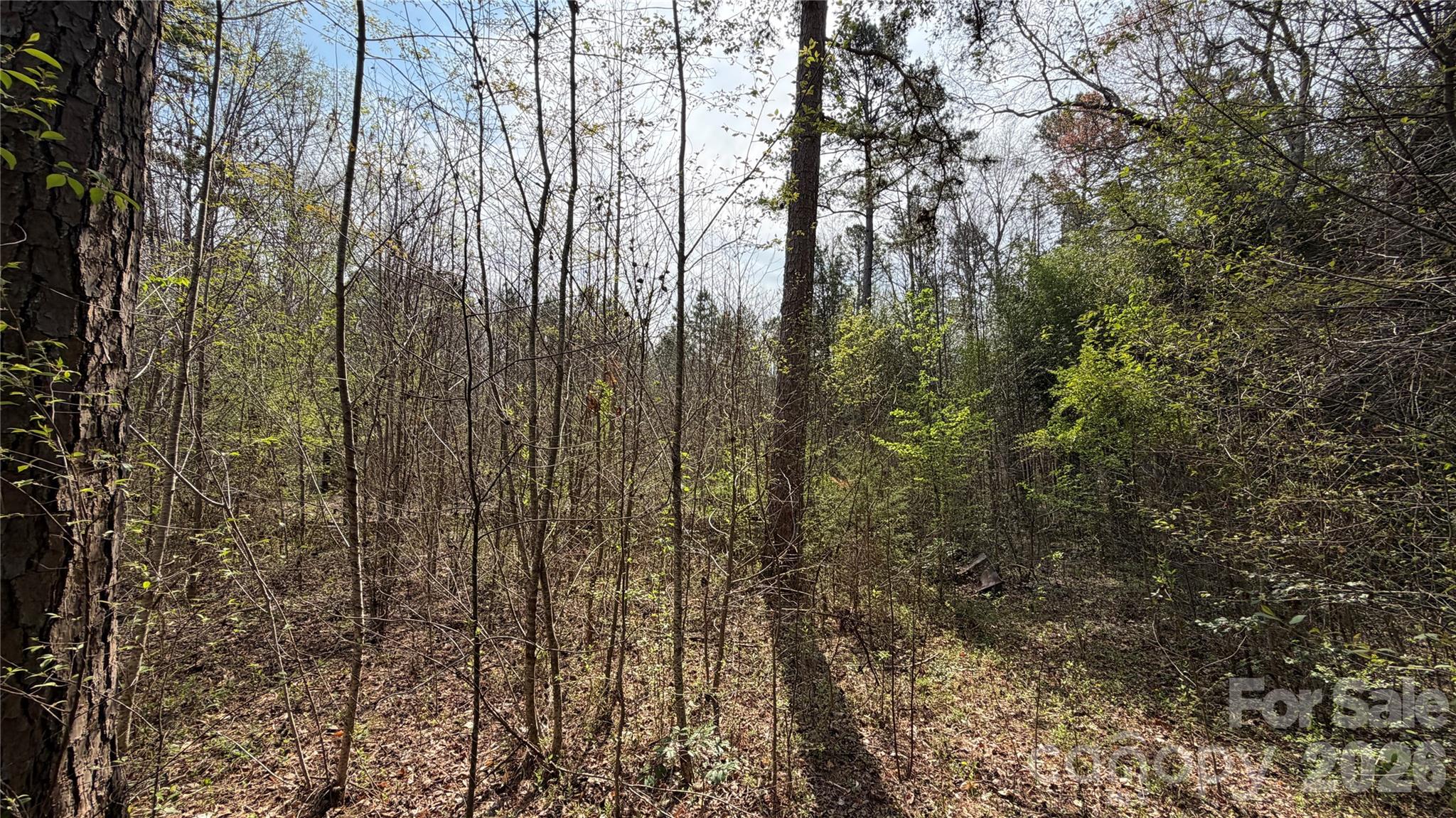 3245 Lark Drive Denton NC 27239