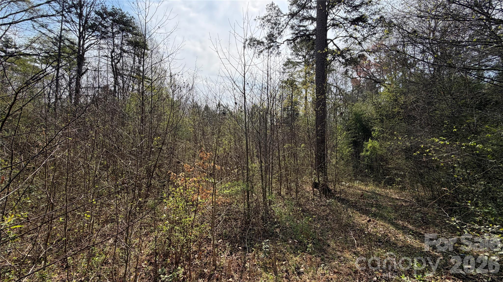 3245 Lark Drive Denton NC 27239