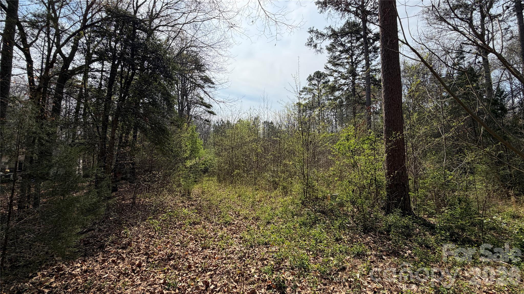 3245 Lark Drive Denton NC 27239