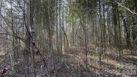 3245 Lark Drive Denton NC 27239