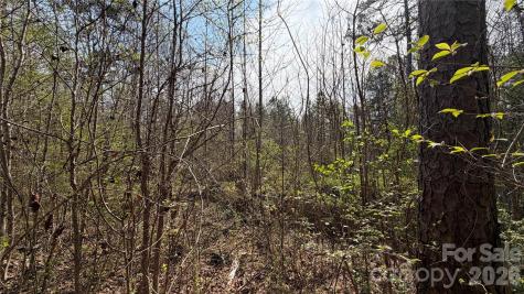 3245 Lark Drive Denton NC 27239