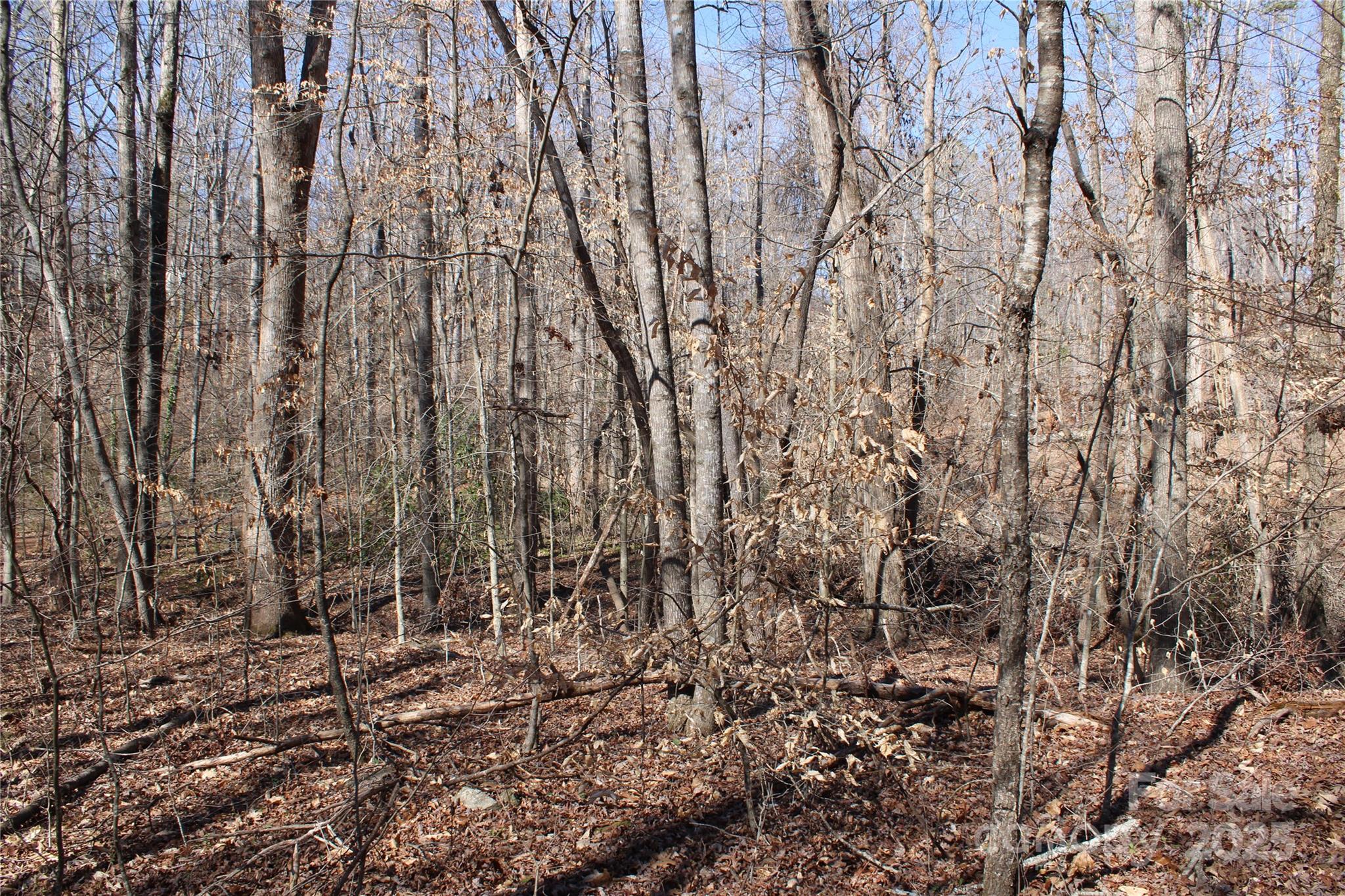 0 Rutherford Street Spindale NC 28160