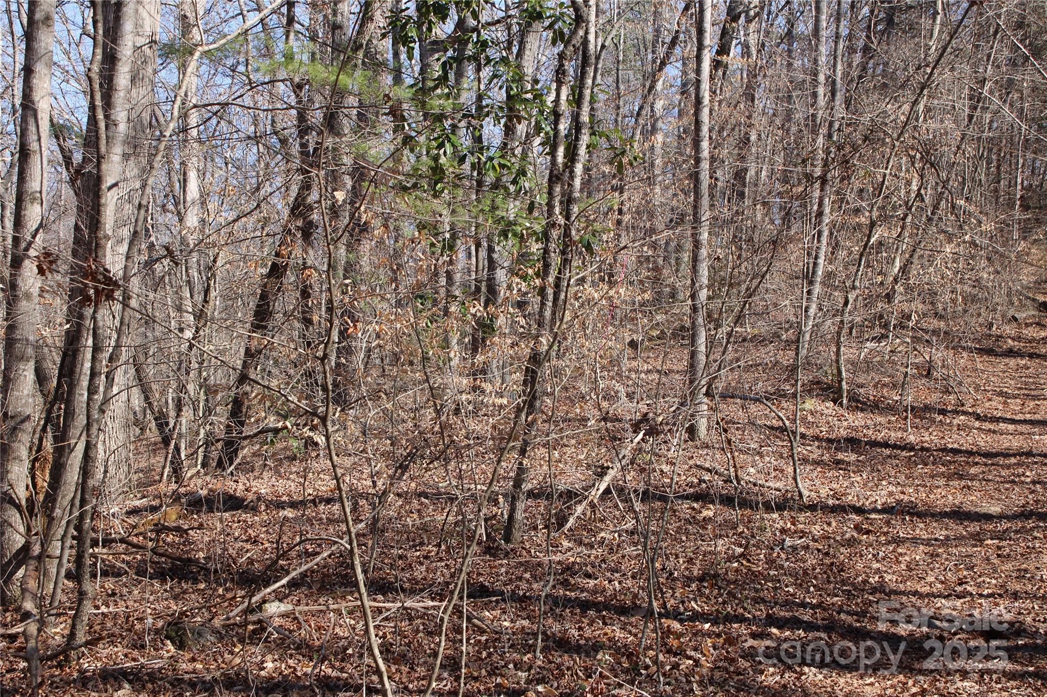 0 Rutherford Street Spindale NC 28160