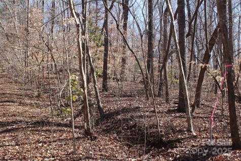 0 Rutherford Street Spindale NC 28160