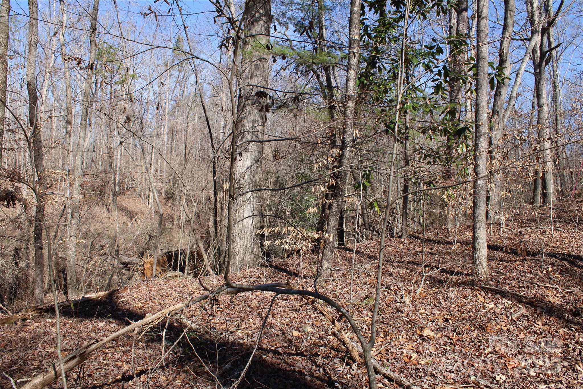 0 Rutherford Street Spindale NC 28160