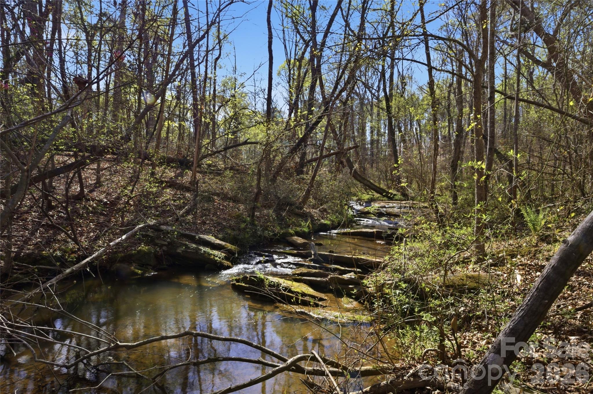 Tbd Alf Hoover Road Lincolnton NC 28092