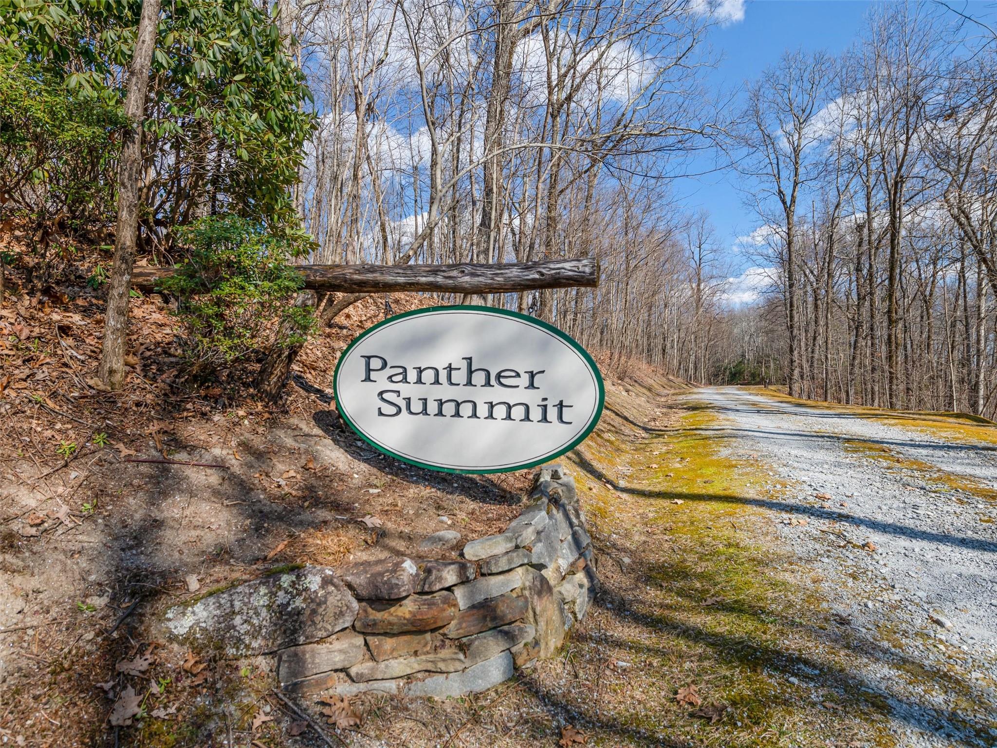P 1&2 Panther Summit Drive Lake Toxaway NC 28747