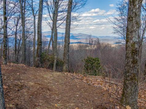 P 1&2 Panther Summit Drive Lake Toxaway NC 28747