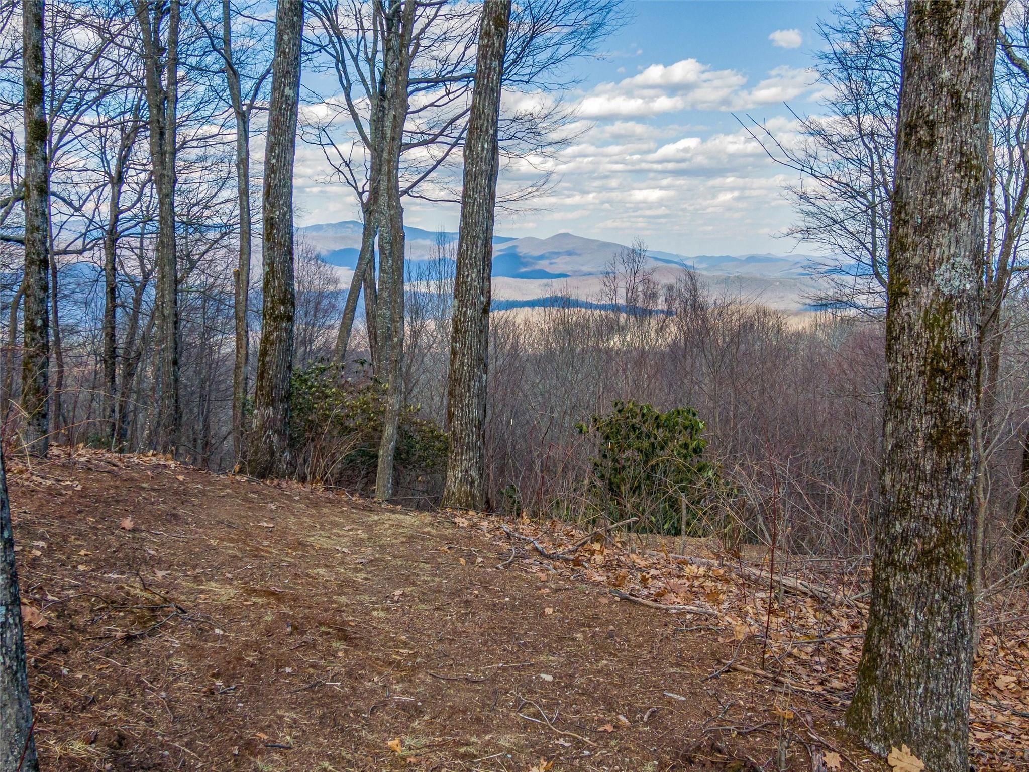 P 1&2 Panther Summit Drive Lake Toxaway NC 28747