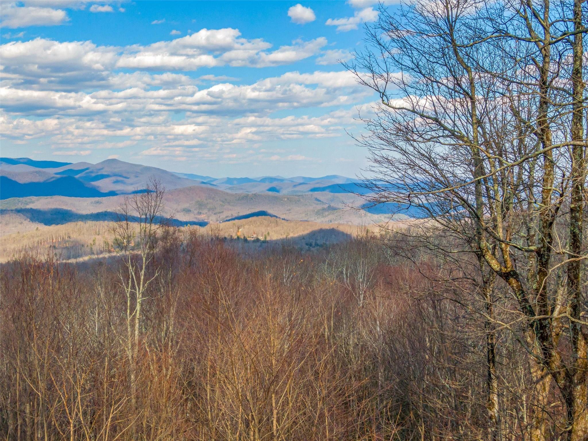 P 1&2 Panther Summit Drive Lake Toxaway NC 28747