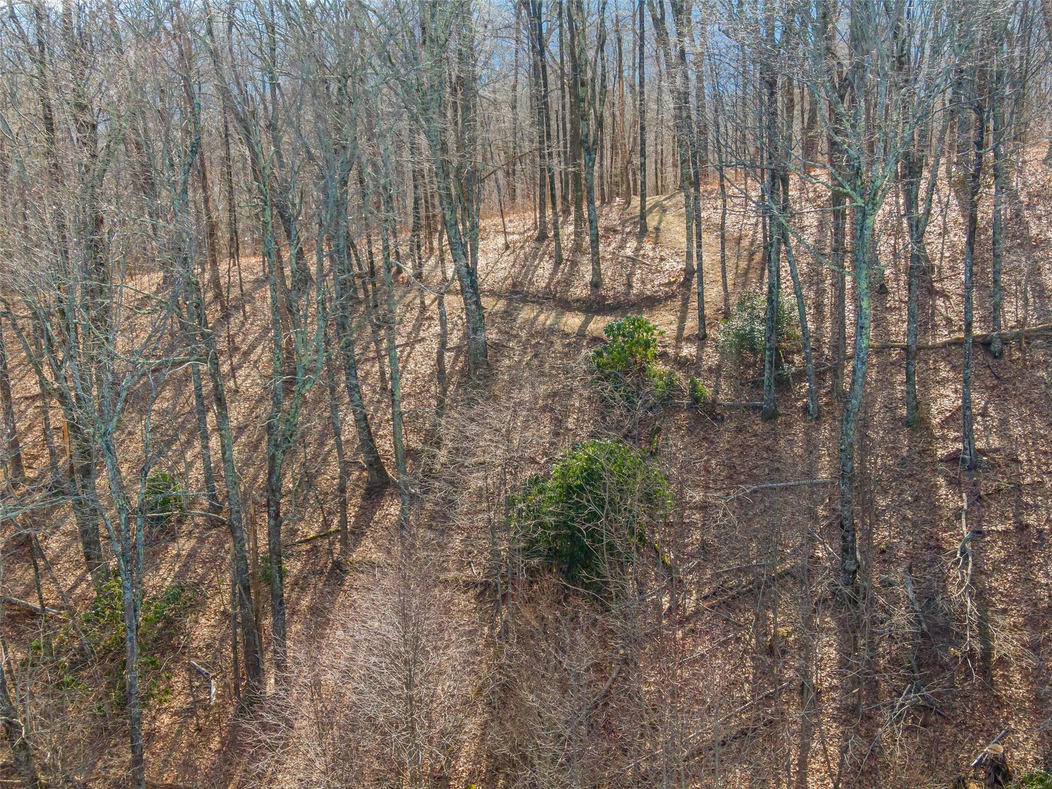 P 1&2 Panther Summit Drive Lake Toxaway NC 28747