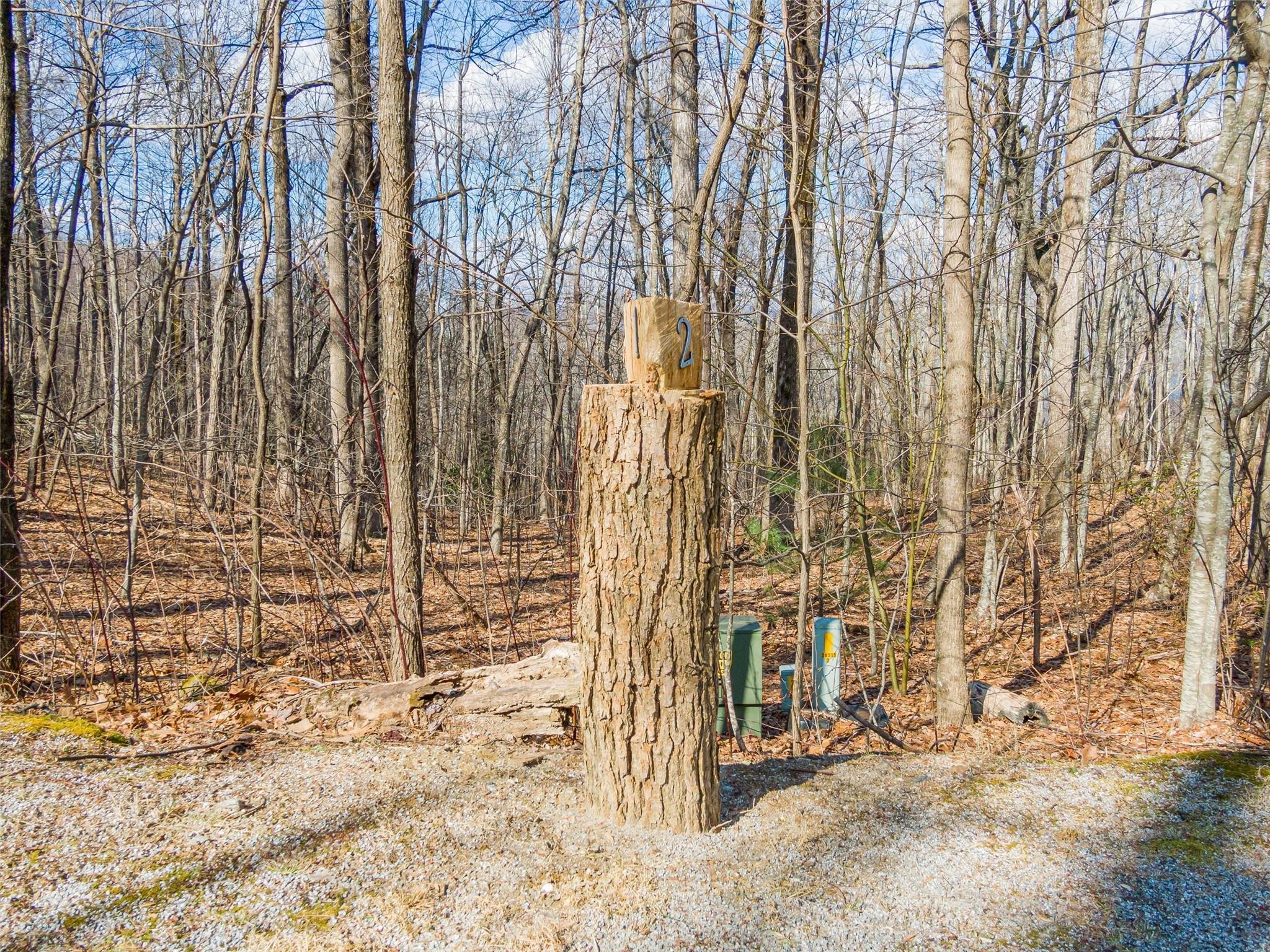 P 1&2 Panther Summit Drive Lake Toxaway NC 28747