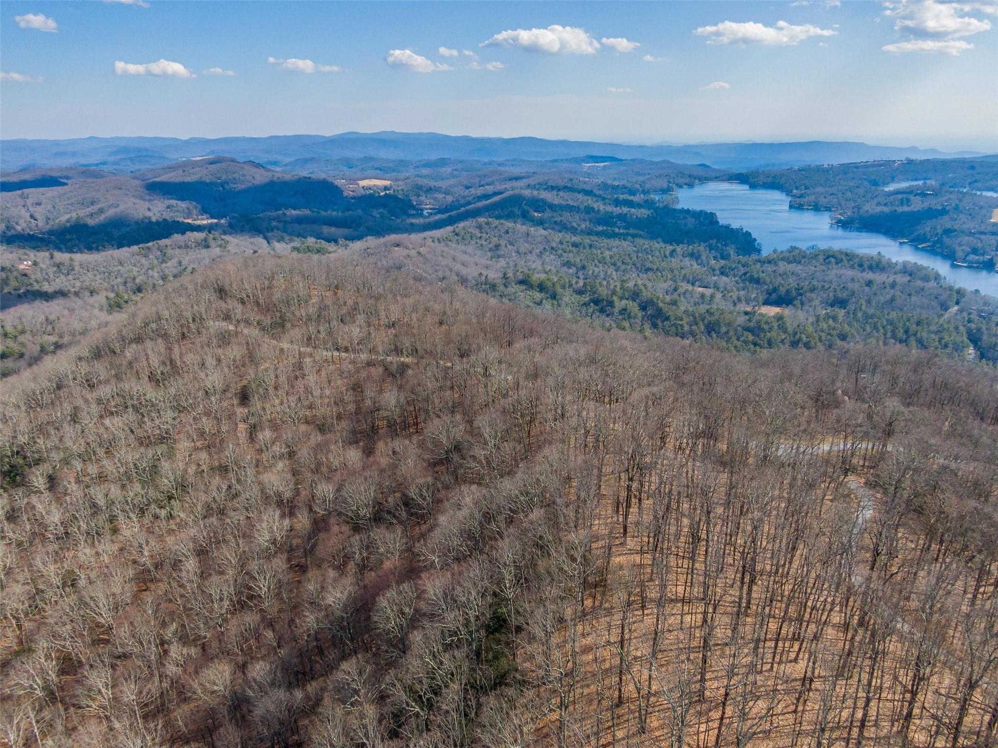 P 1&2 Panther Summit Drive Lake Toxaway NC 28747