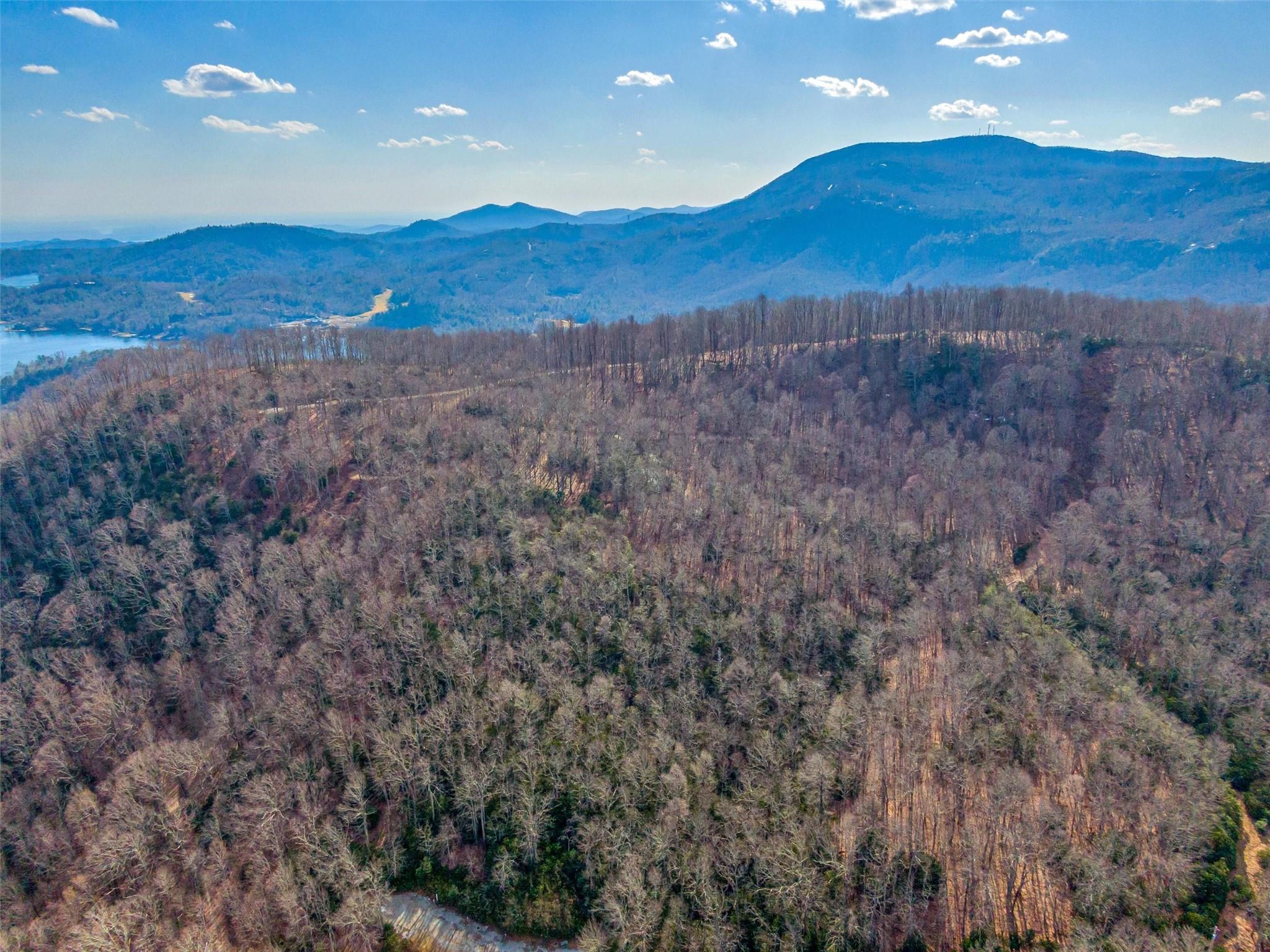 P 1&2 Panther Summit Drive Lake Toxaway NC 28747