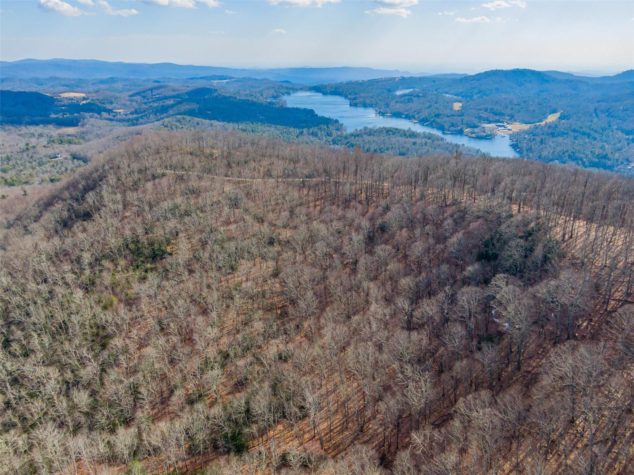 P 1&2 Panther Summit Drive Lake Toxaway NC 28747