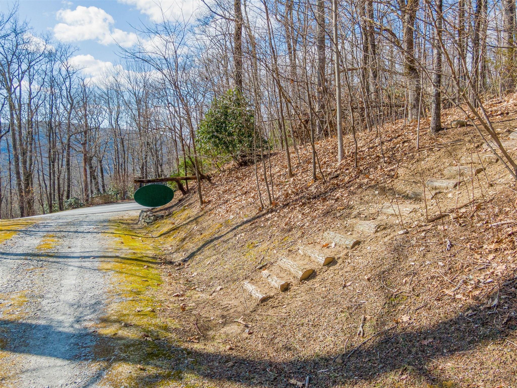 P 1&2 Panther Summit Drive Lake Toxaway NC 28747