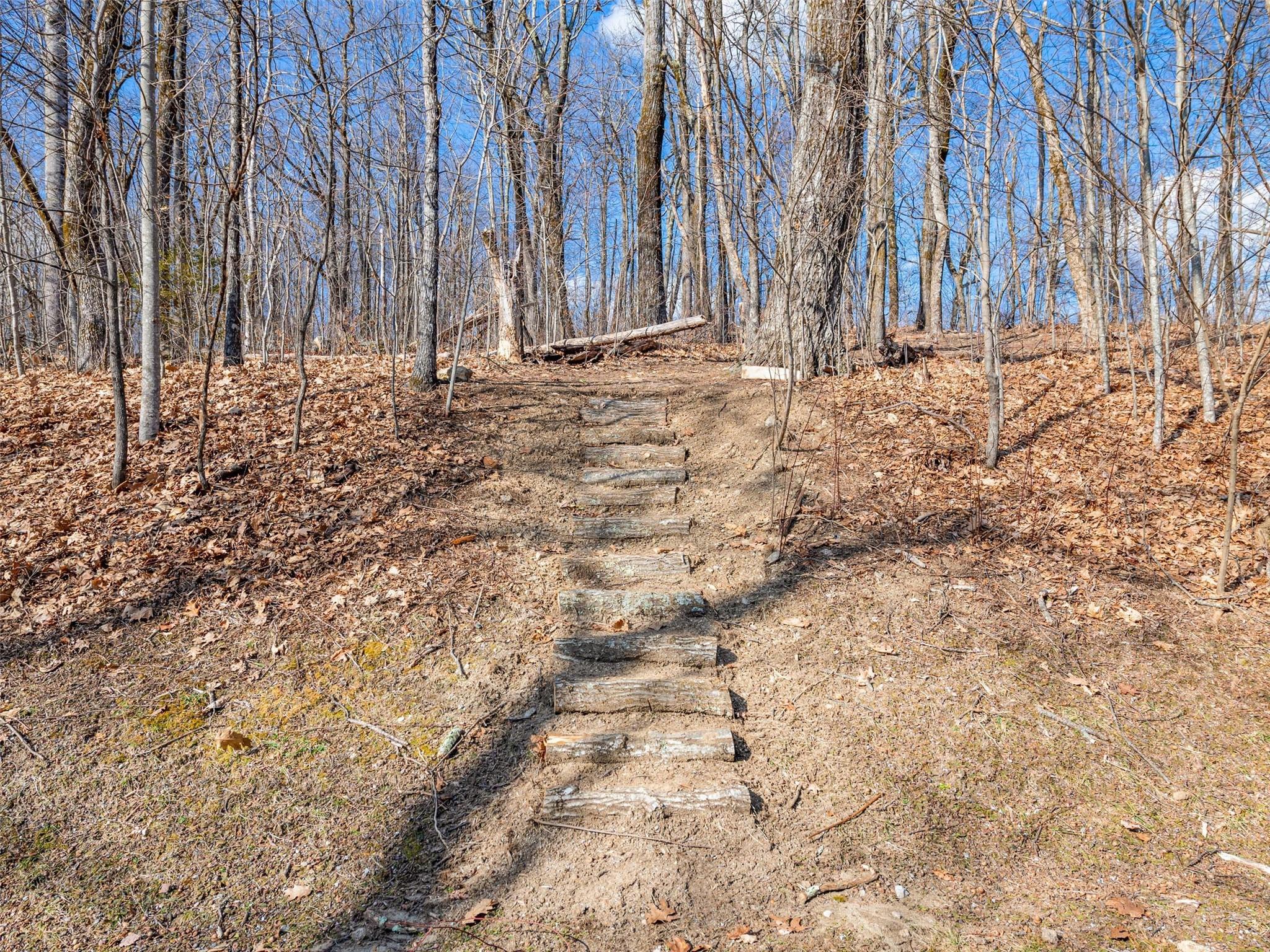 P 1&2 Panther Summit Drive Lake Toxaway NC 28747