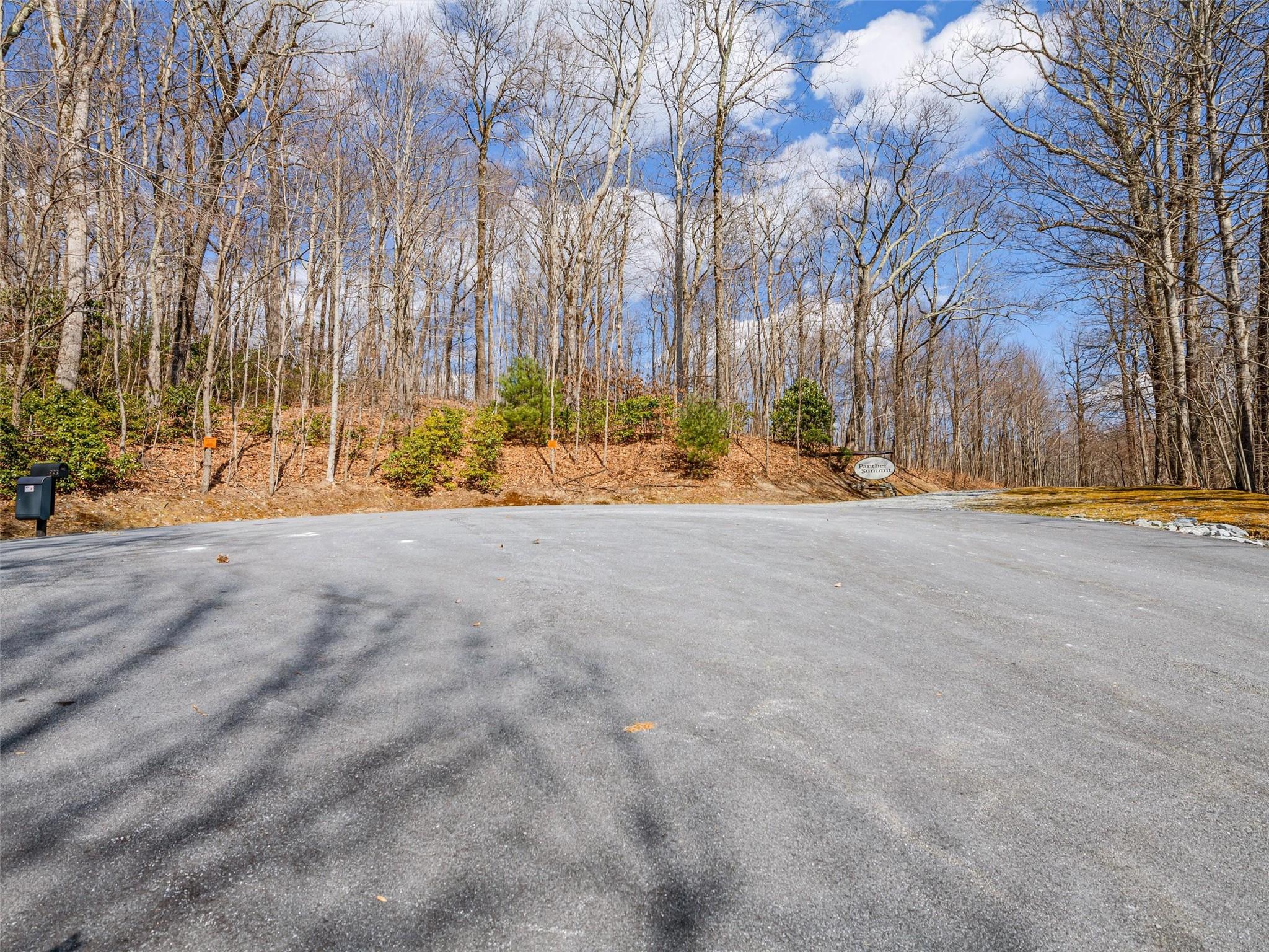 P 1&2 Panther Summit Drive Lake Toxaway NC 28747