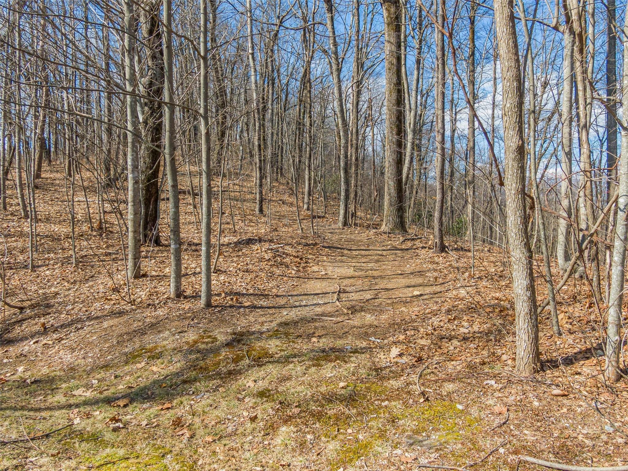 P 1&2 Panther Summit Drive Lake Toxaway NC 28747