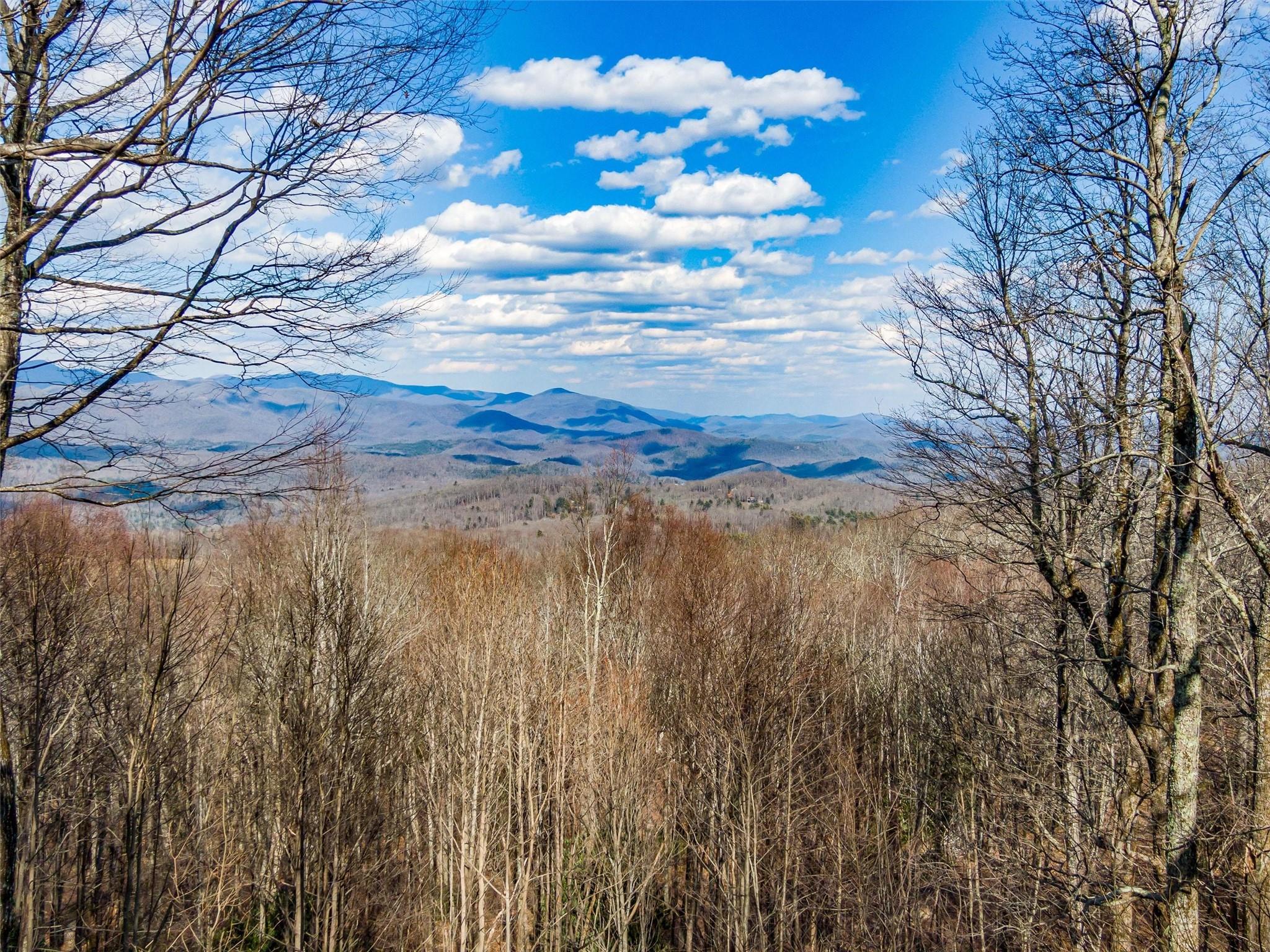 P 1&2 Panther Summit Drive Lake Toxaway NC 28747