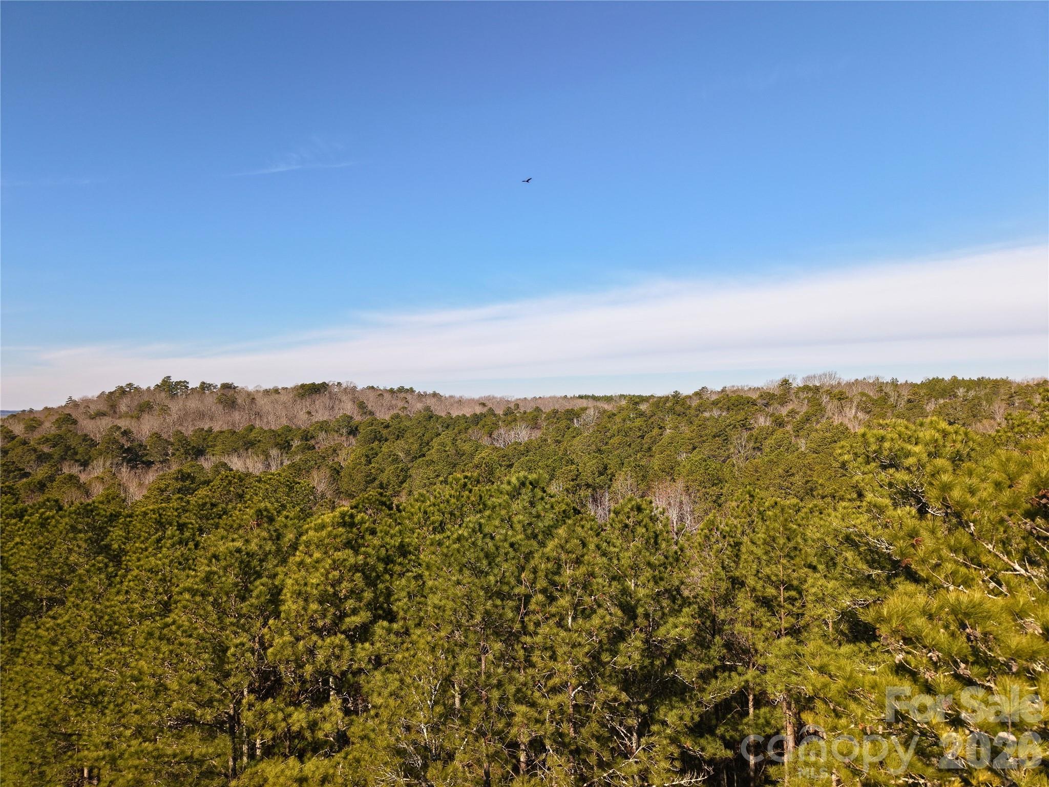 196 Sunset Ridge Rockingham NC 28379