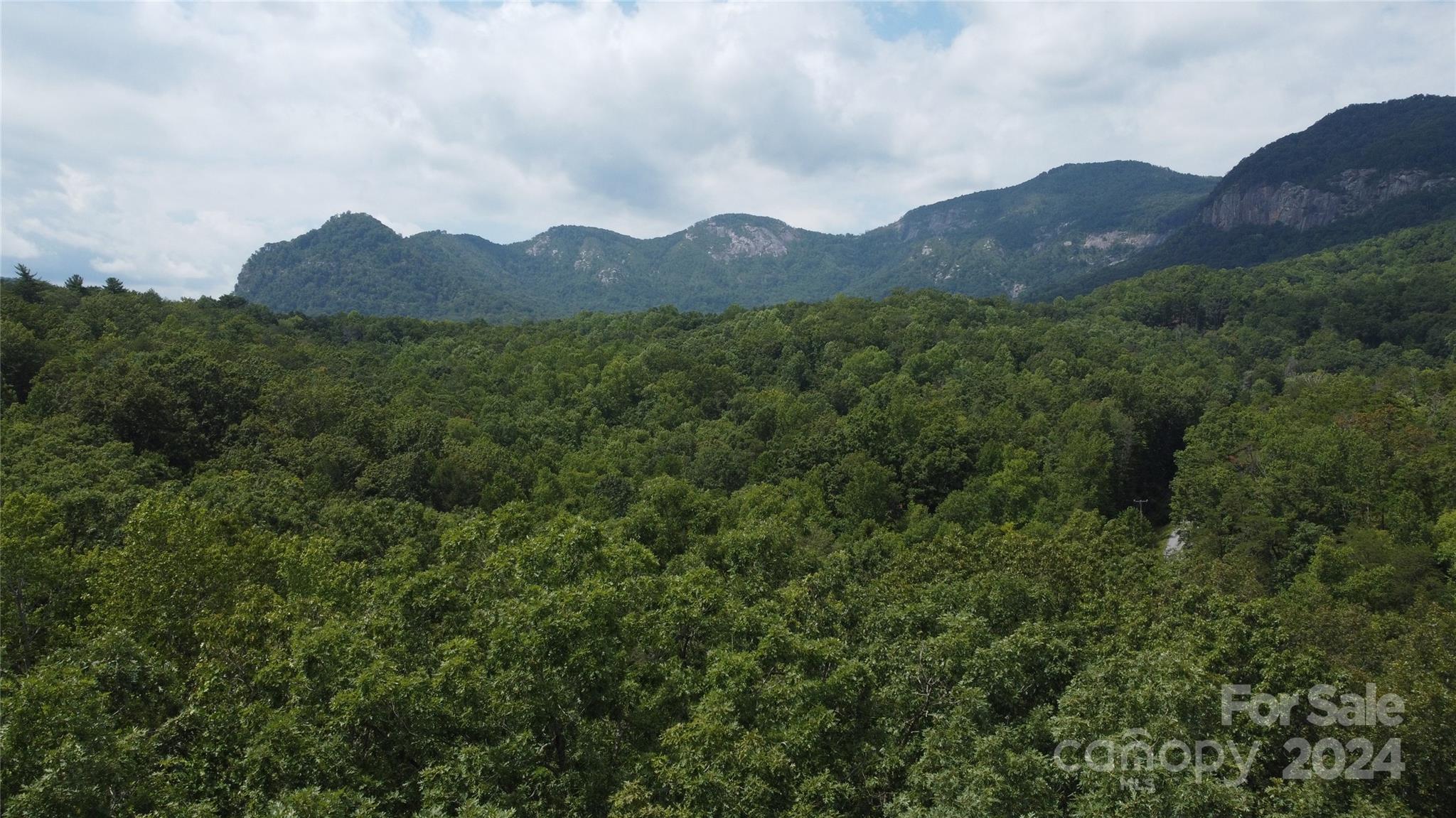 0 Mintwood Court Lake Lure NC 28746