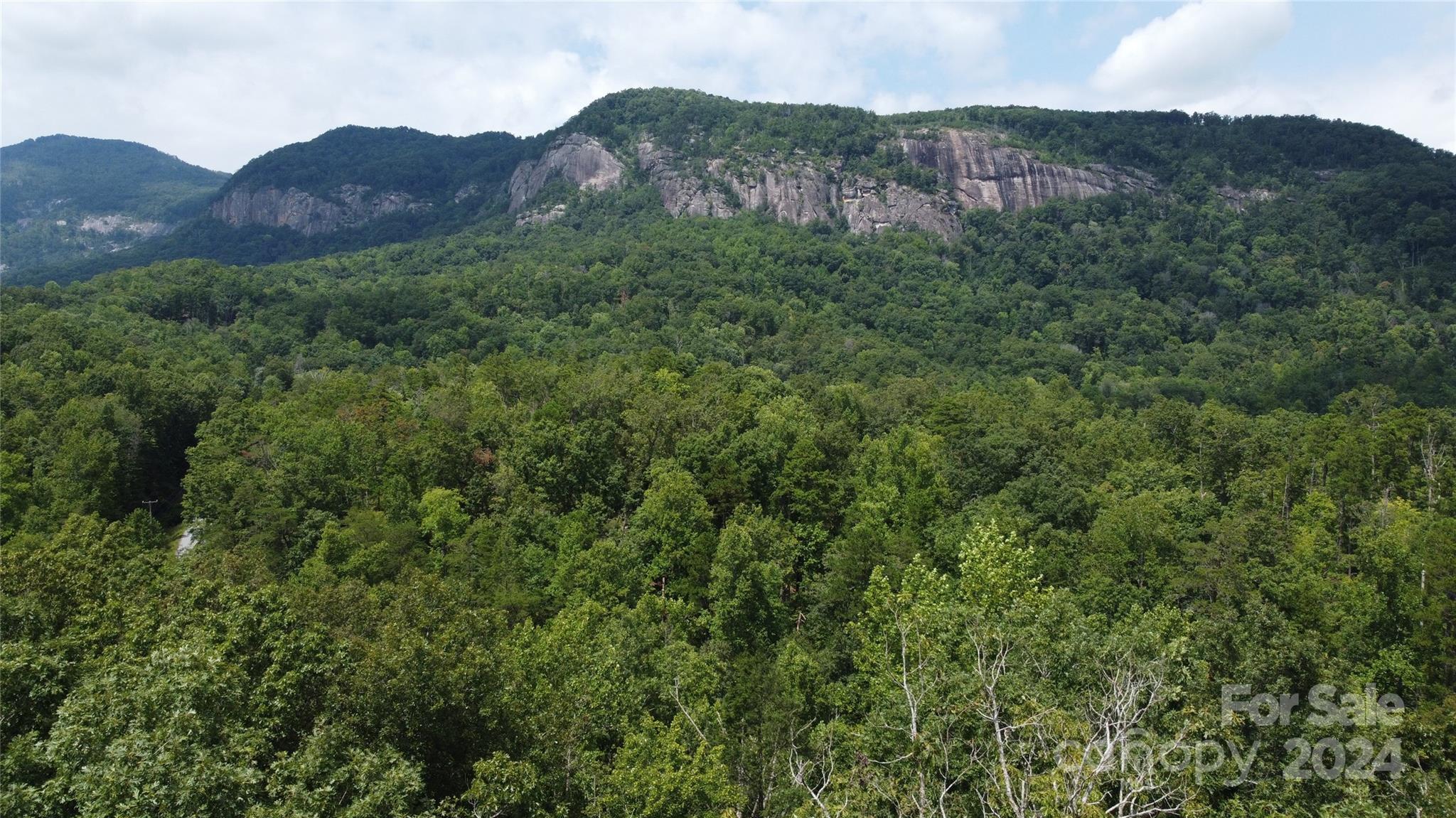 0 Mintwood Court Lake Lure NC 28746