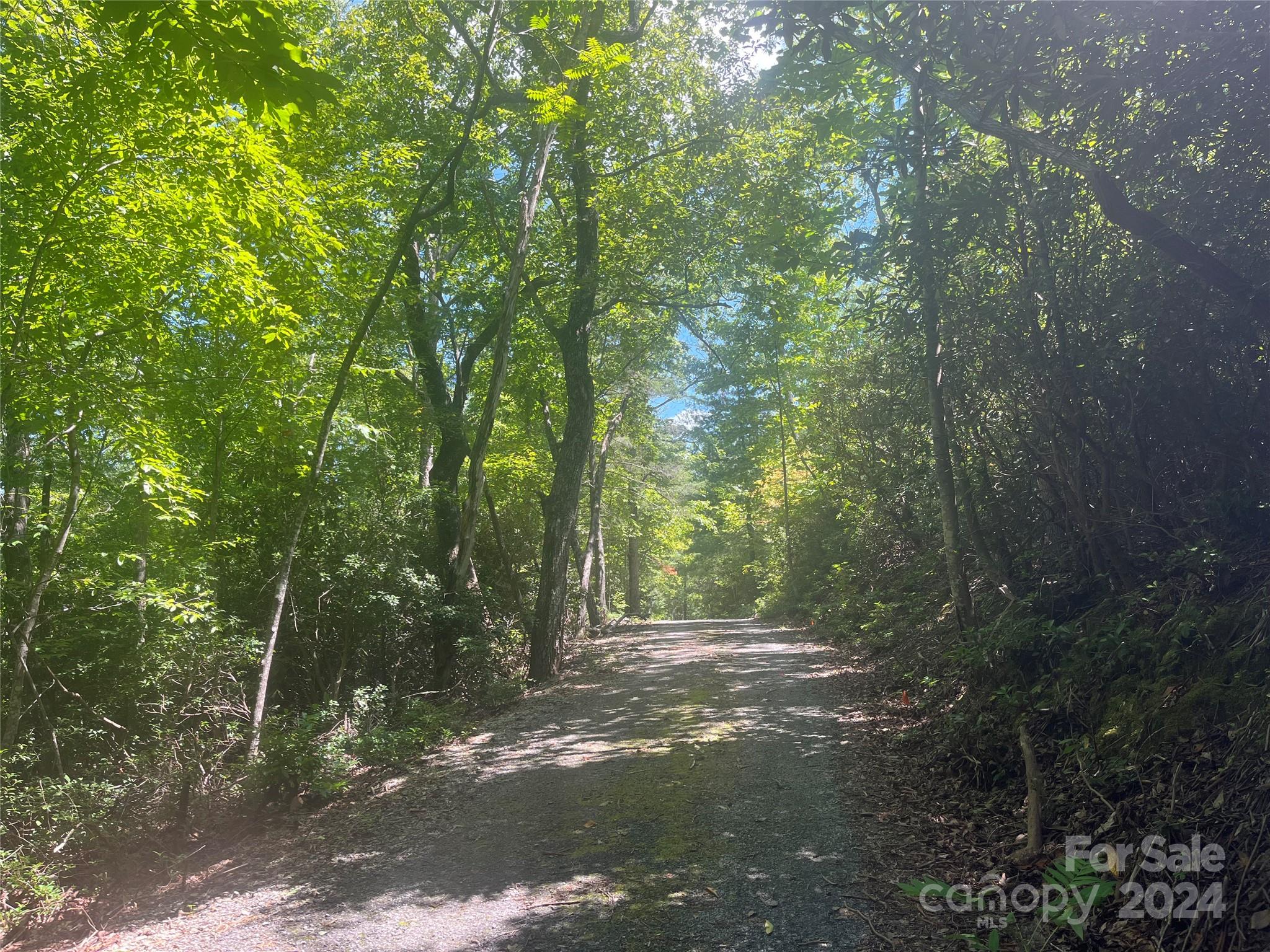 0 Mintwood Court Lake Lure NC 28746