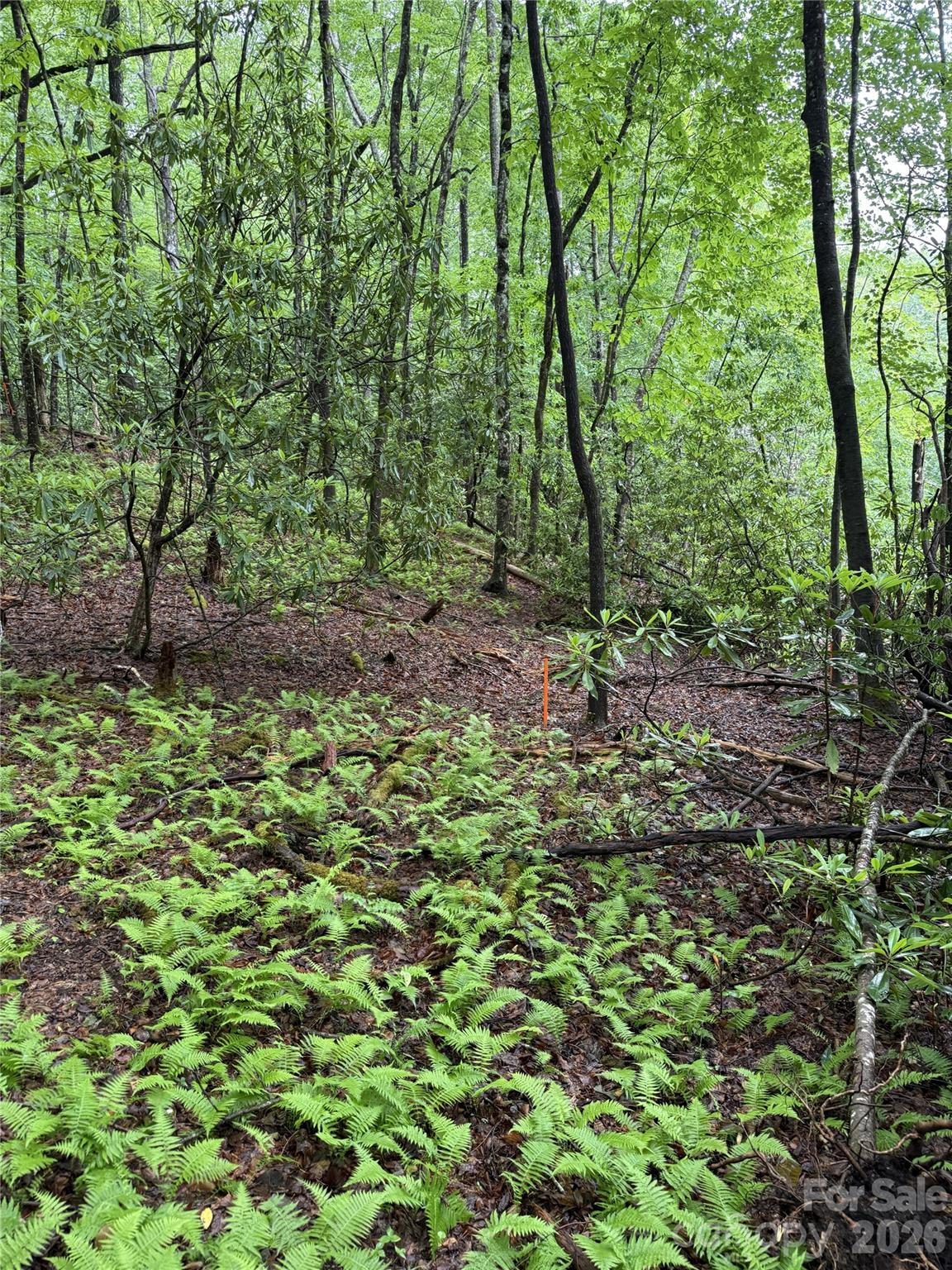 Lot 68 Cherrywood Lane Pisgah Forest NC 28768
