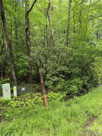 Lot 68 Cherrywood Lane Pisgah Forest NC 28768
