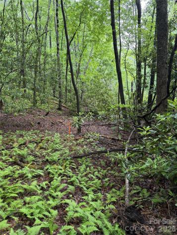 Lot 68 Cherrywood Lane Pisgah Forest NC 28768