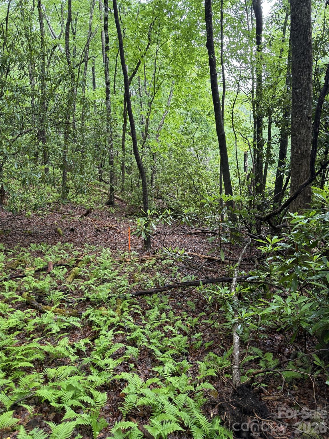 Lot 68 Cherrywood Lane Pisgah Forest NC 28768