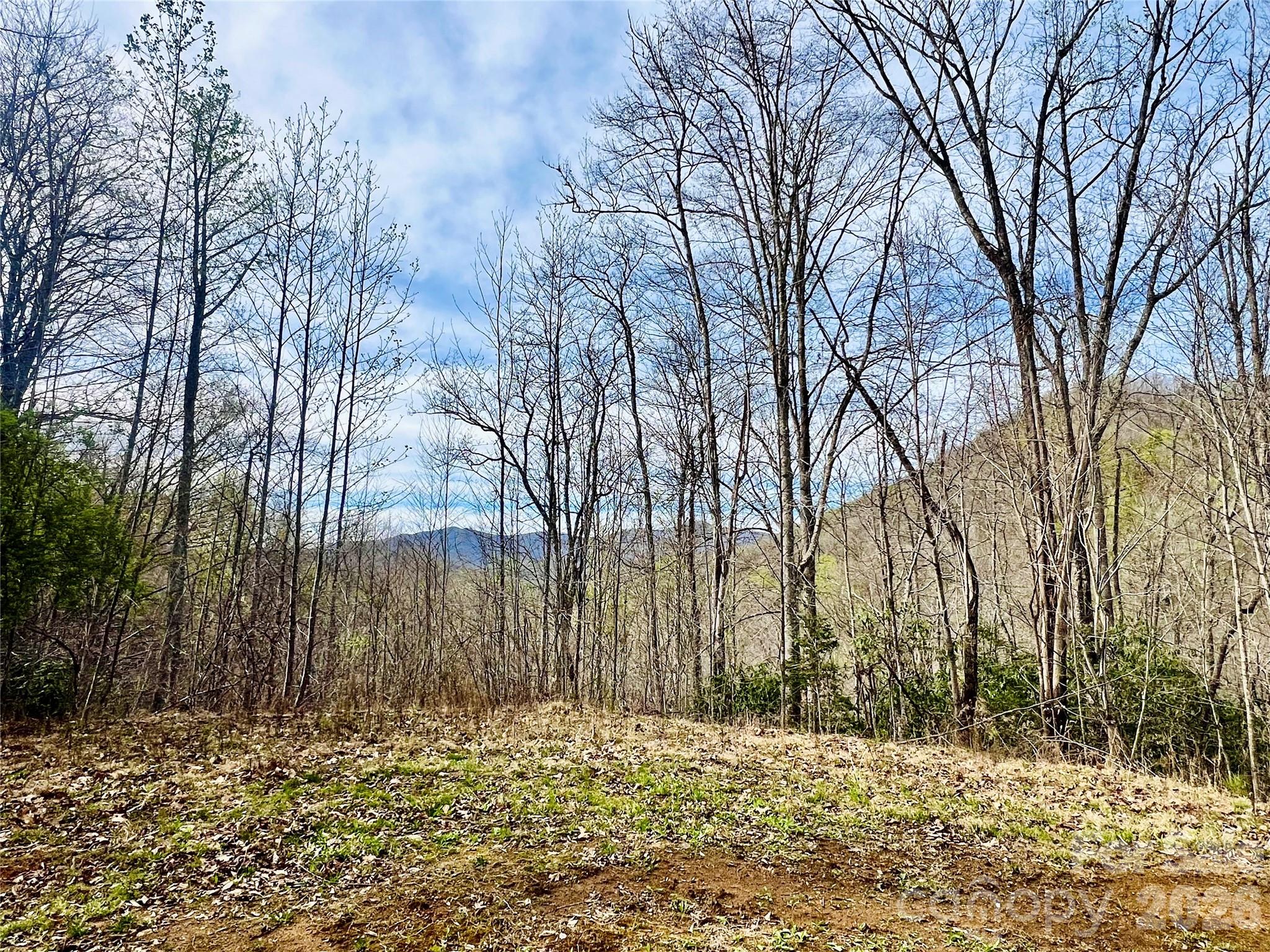 00 Clubhouse Drive Franklin NC 28734