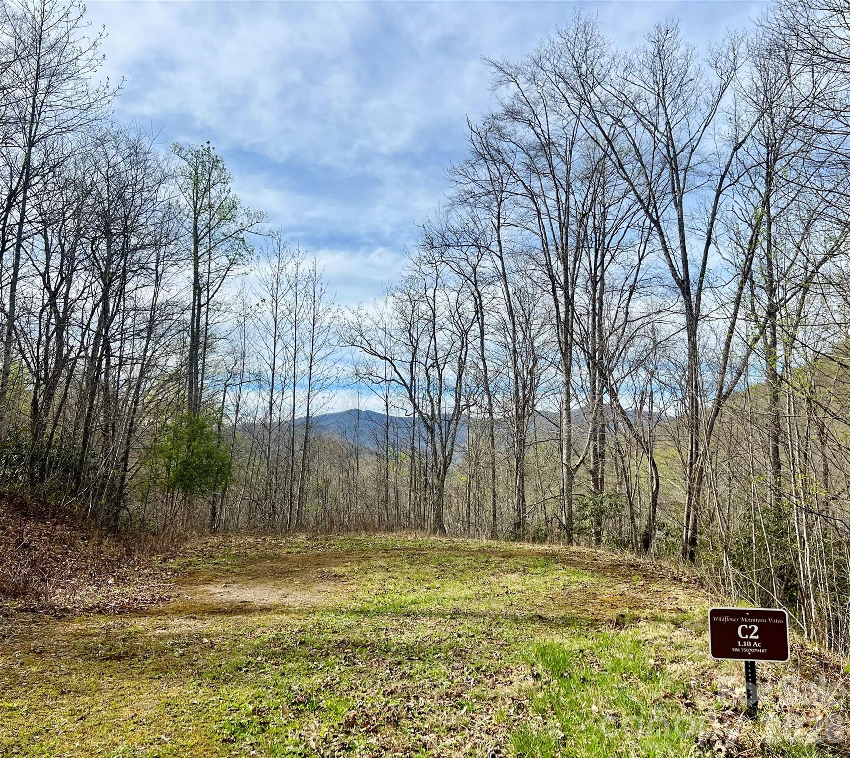 00 Clubhouse Drive Franklin NC 28734